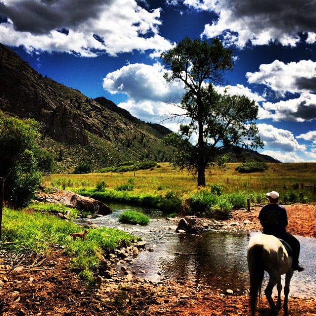 image of a horseback rider on the banks of a stream