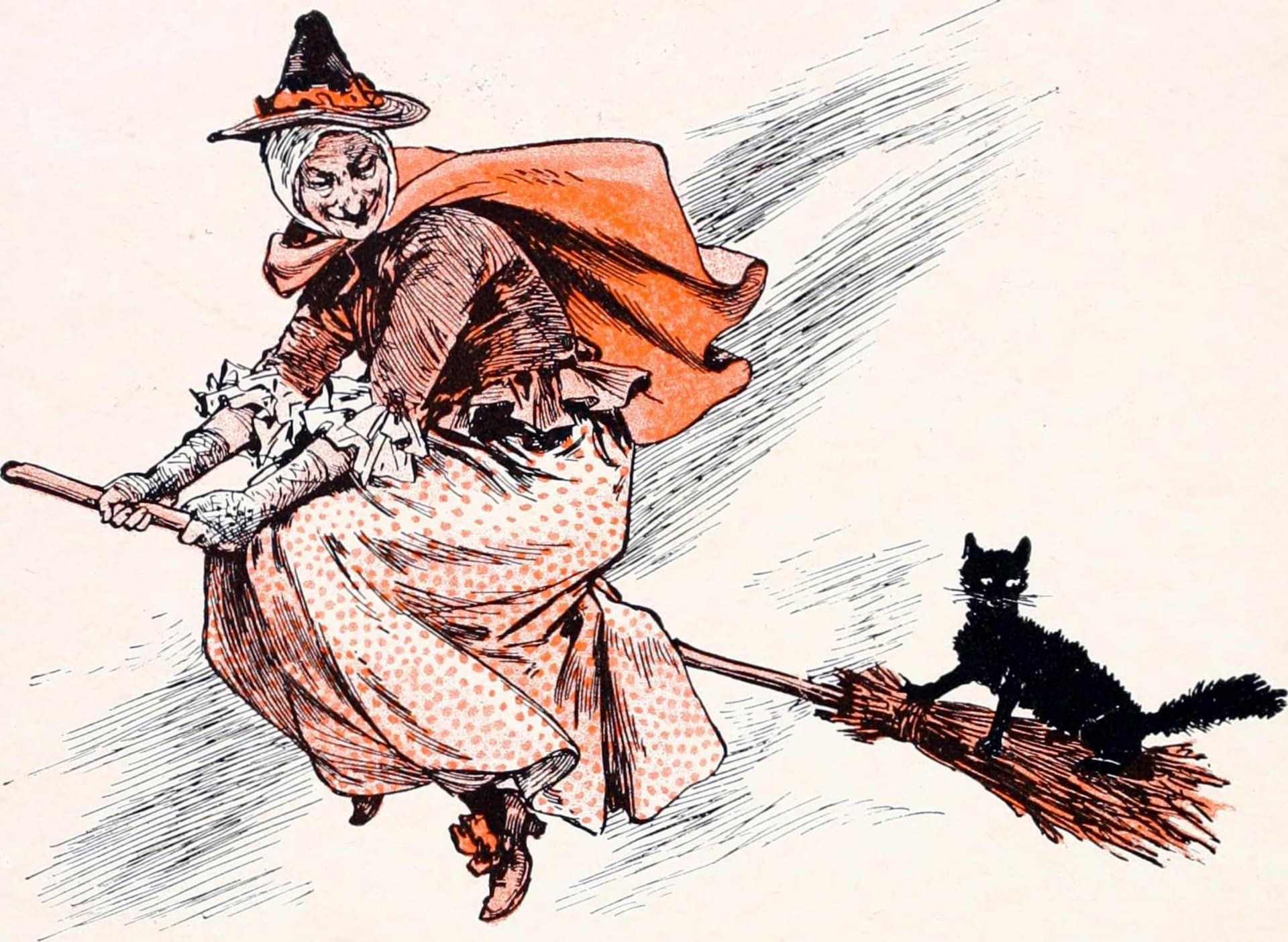 Halloween Witch Broom Cat. Credit Martina Stokow, CCO Public Domain